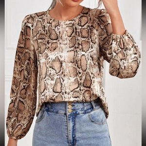 Brown and Cream Relaxed Long Sleeve Blouse